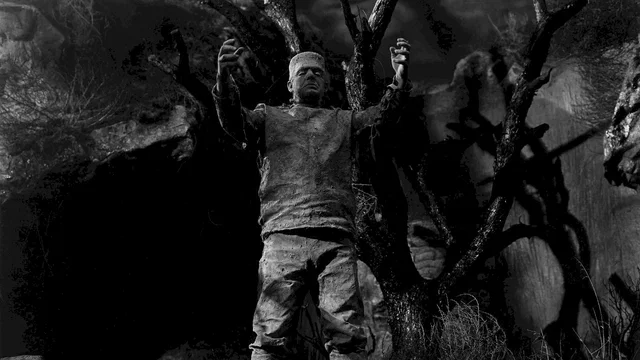 Photo 5 du film : Le spectre de frankenstein