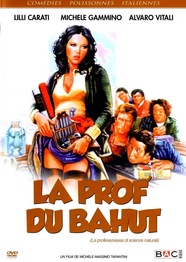 Affiche du film : La prof du bahut