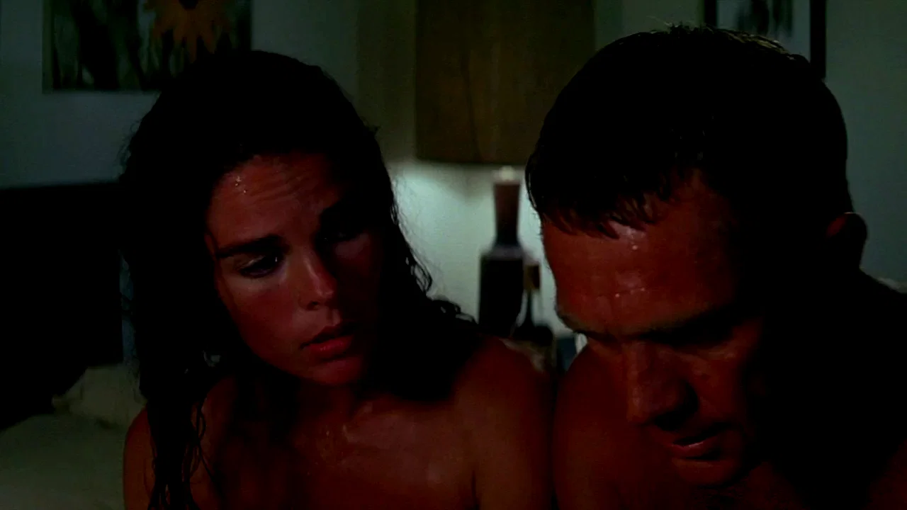 Photo 14 du film : Guet apens