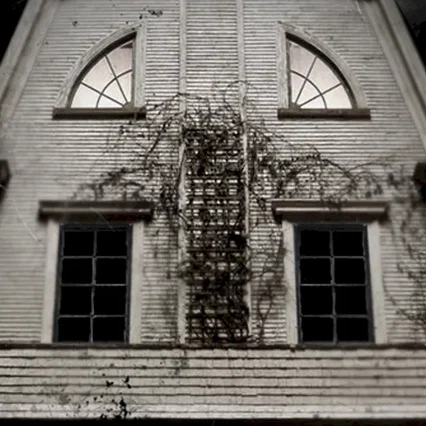 Miniature photo du film : Amityville la maison du diable