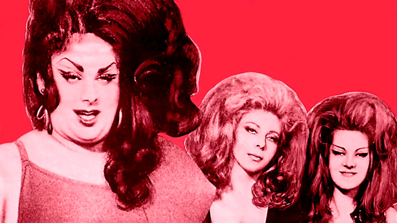 Photo du film : Female trouble
