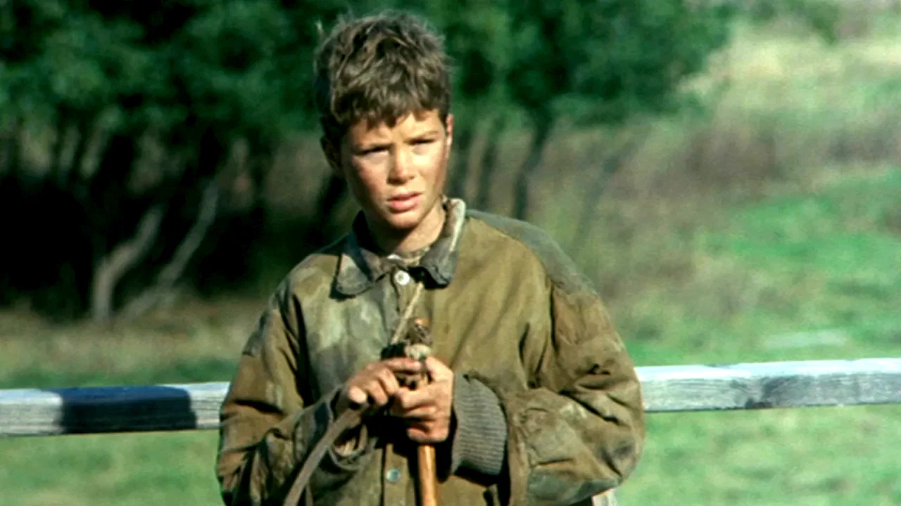 Photo 3 du film : Pelle le conquérant