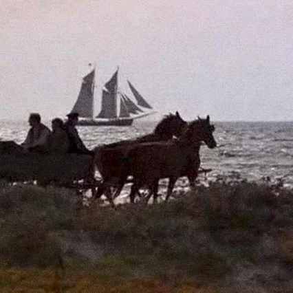 Miniature photo du film : Pelle le conquérant