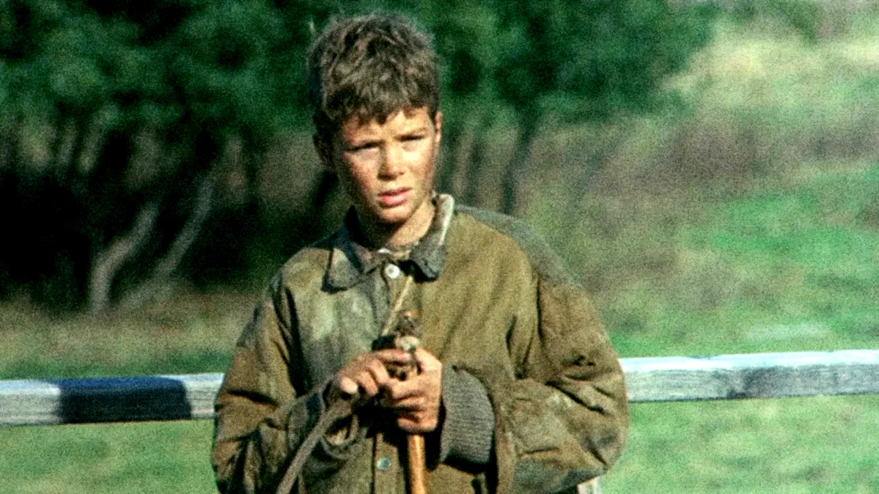 Photo 8 du film : Pelle le conquérant