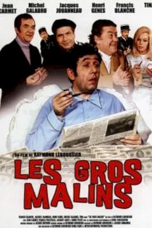 Affiche du film : Les gros malins