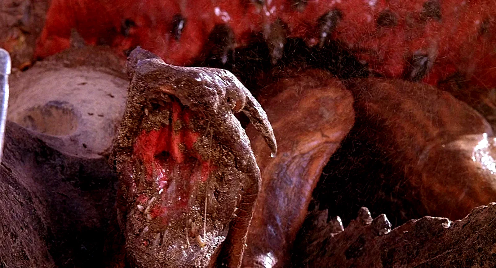 Photo 11 du film : Tremors