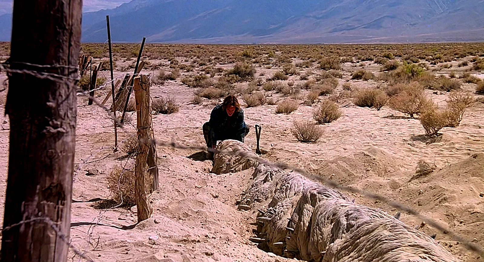 Photo 15 du film : Tremors