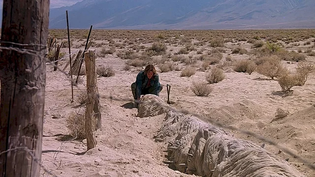Photo 15 du film : Tremors