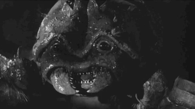 Photo 2 du film : Le scorpion noir