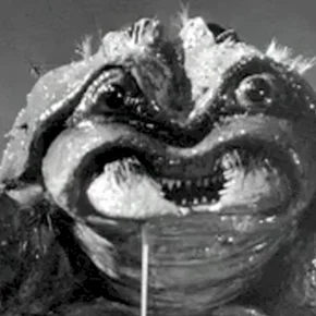 Photo du film : Le scorpion noir