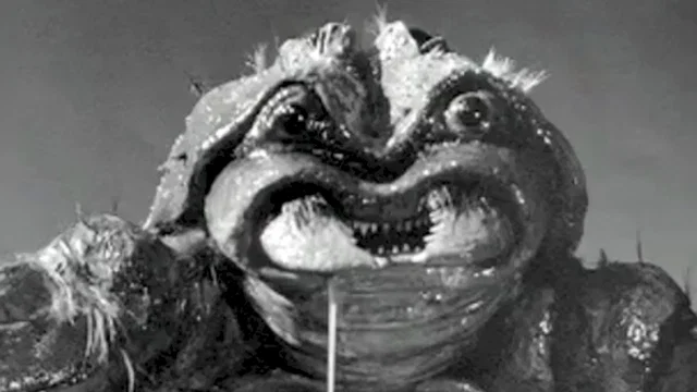 Photo 3 du film : Le scorpion noir