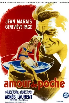 Affiche du film Un amour de poche