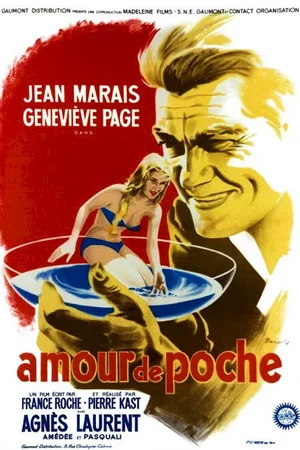 Affiche du film : Un amour de poche