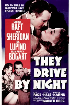 Affiche du film Une femme dangereuse