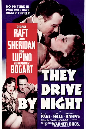 Affiche du film : Une femme dangereuse