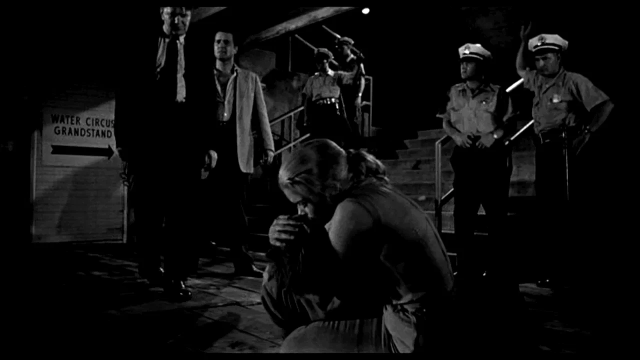 Photo 3 du film : Le cambrioleur