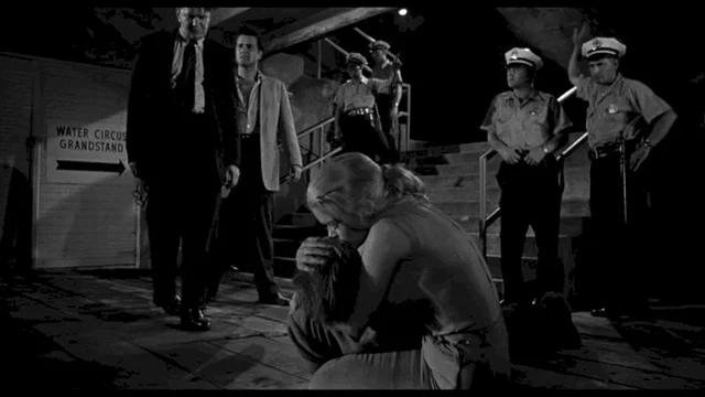 Photo 3 du film : Le cambrioleur