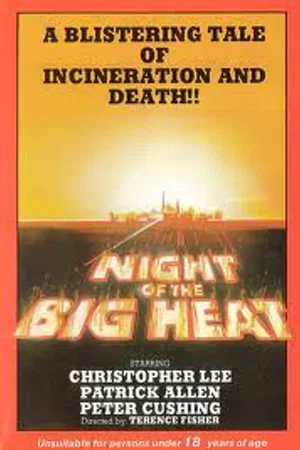 Affiche du film : La nuit de la grande chaleur