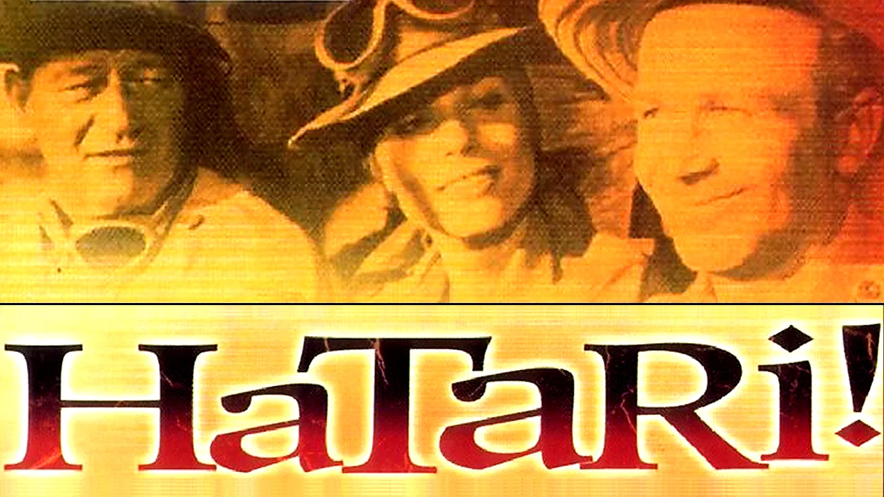 Photo 4 du film : Hatari