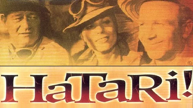 Photo 4 du film : Hatari