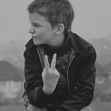 Miniature photo du film : Skinhead attitude