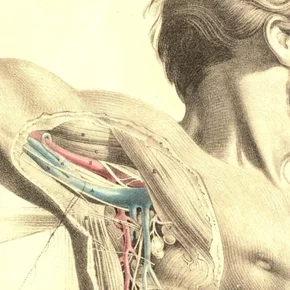Photo du film : Anatomie 2