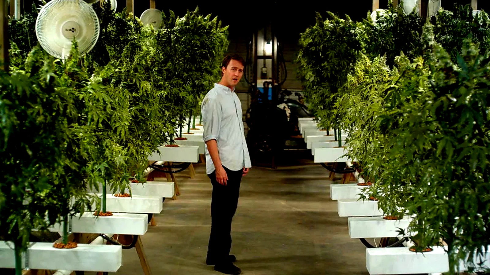 Photo 5 du film : Leaves of Grass