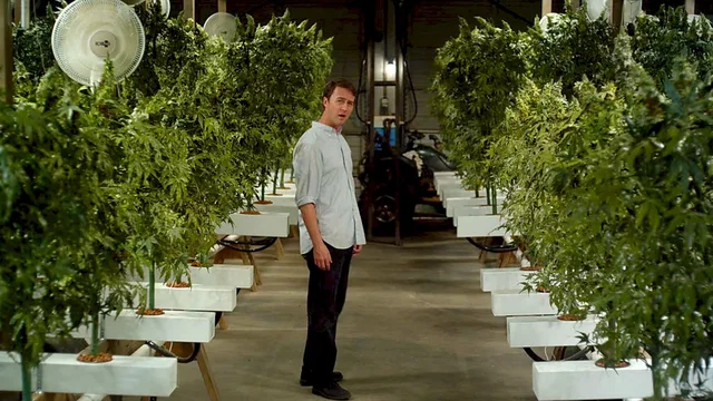 Photo 5 du film : Leaves of Grass