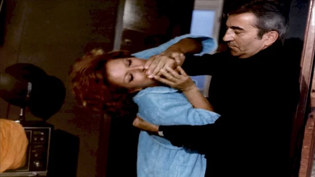 Photo 2 du film : Le protecteur