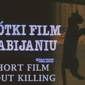 Photo du film : Tu ne tueras point