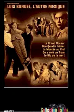 Affiche du film Don quintin l'amer