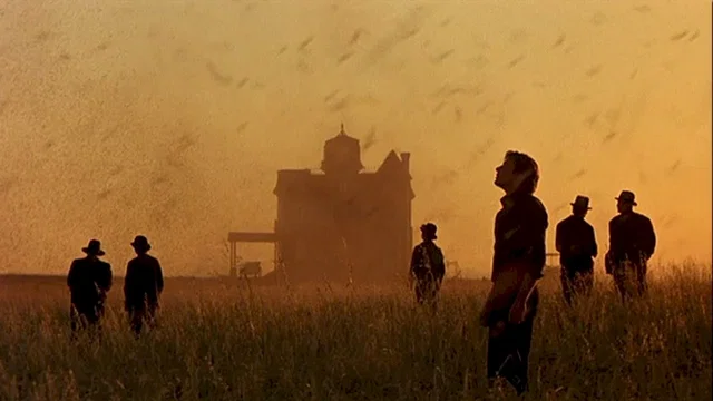 Photo 3 du film : Les moissons du ciel