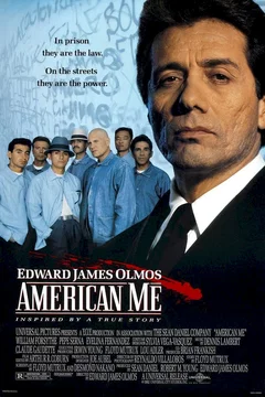 Affiche du film Sans remission