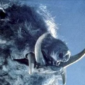 Photo du film : Razorback