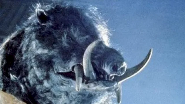 Photo 2 du film : Razorback