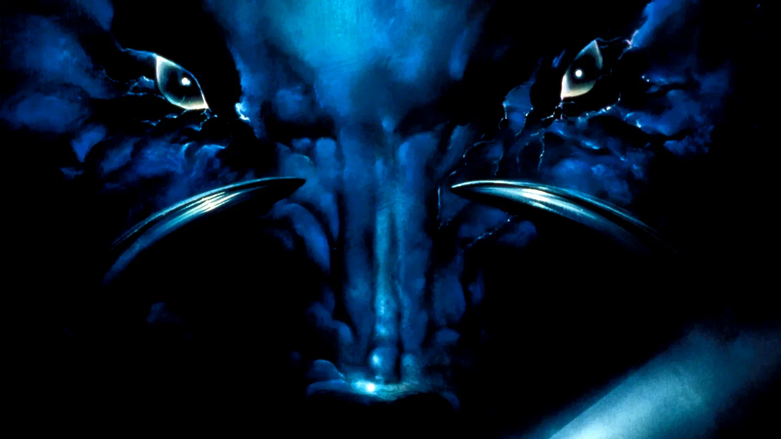 Photo 3 du film : Razorback