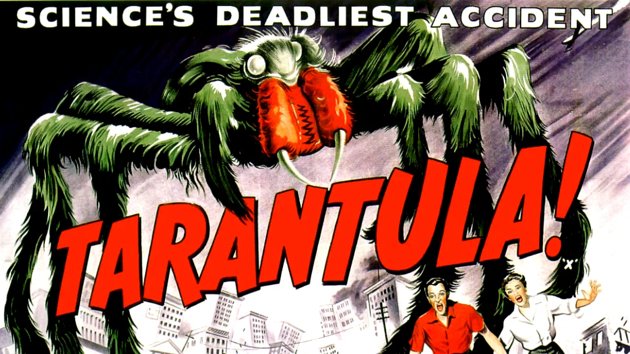 Photo 2 du film : Tarantula