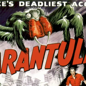 Photo du film : Tarantula