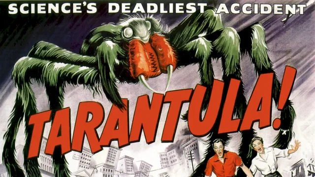 Photo 2 du film : Tarantula