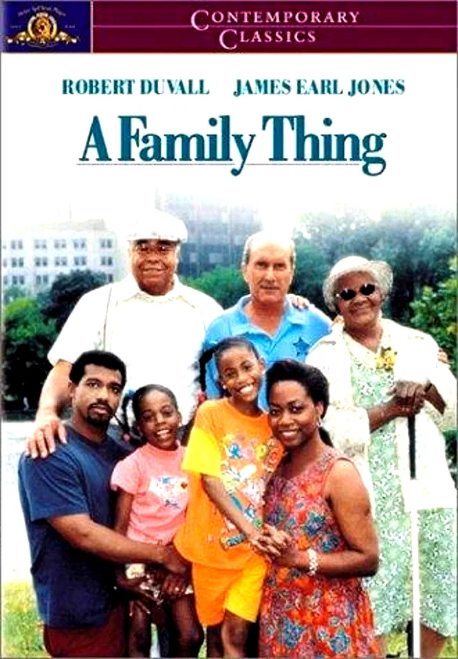 Affiche du film : Family thing