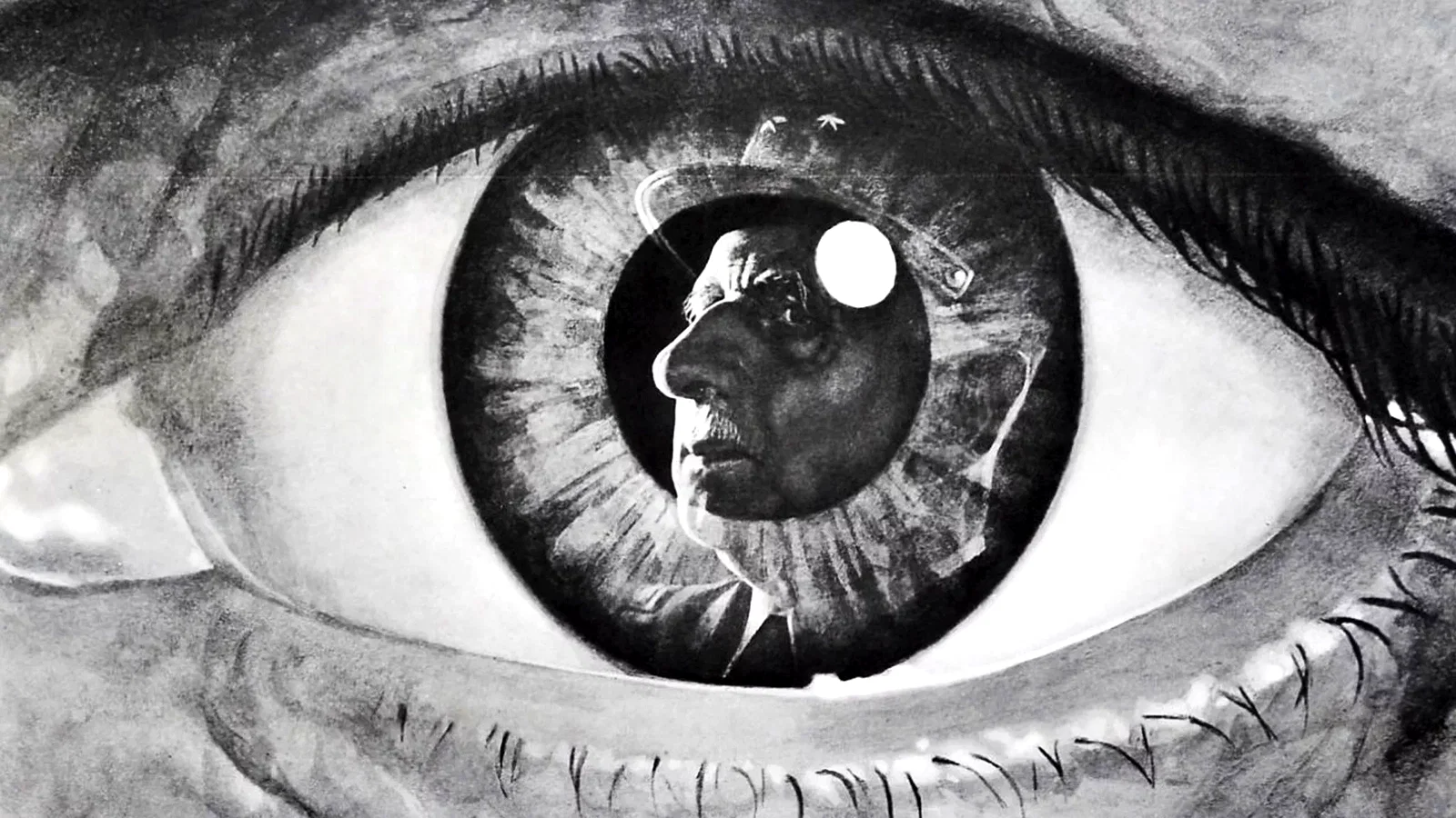 Photo 5 du film : Chacal