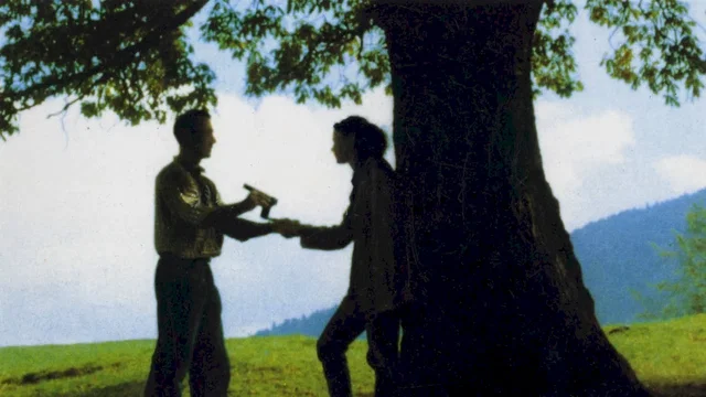 Photo du film : Le Chêne