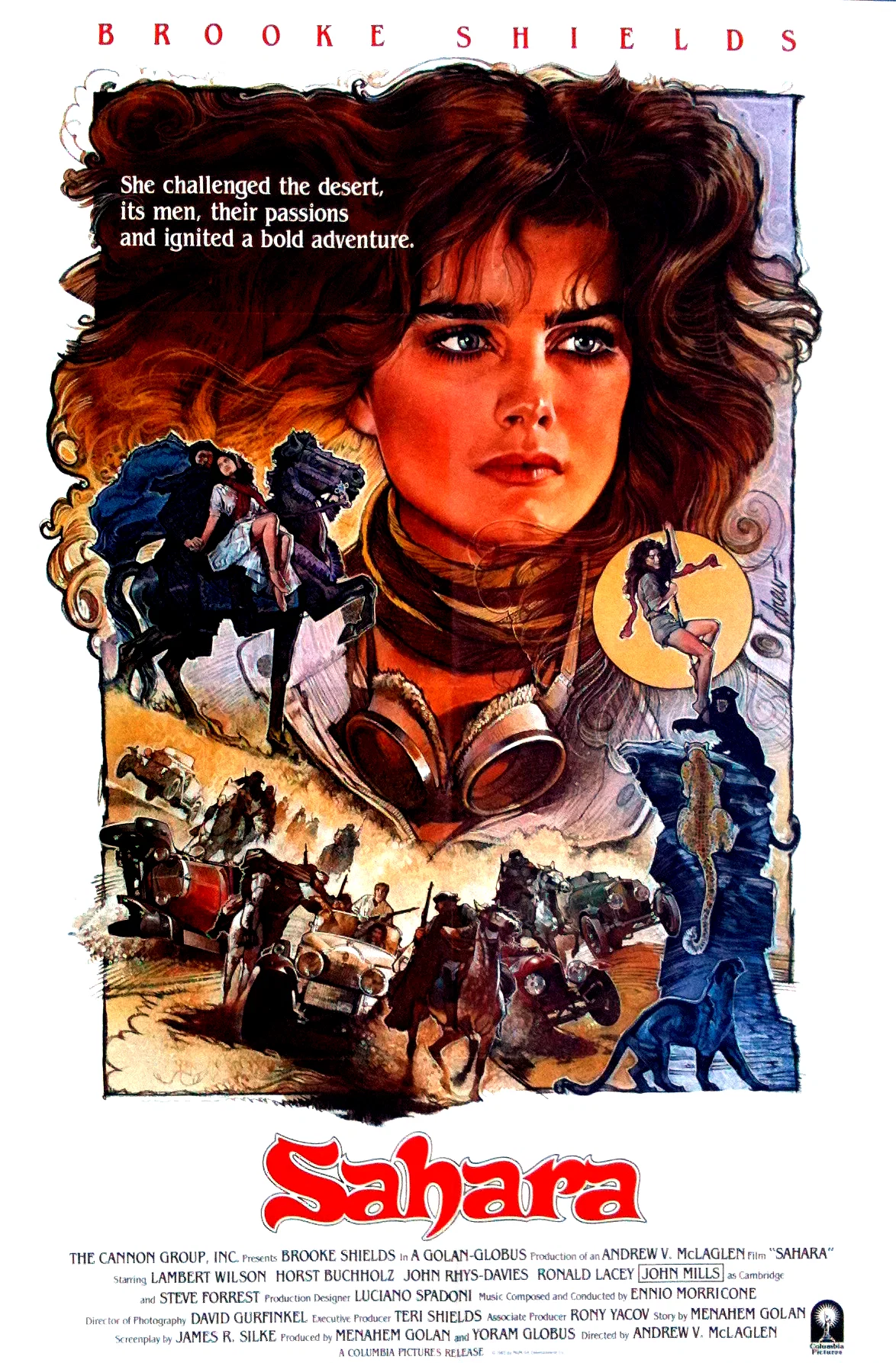 Affiche du film : Sahara
