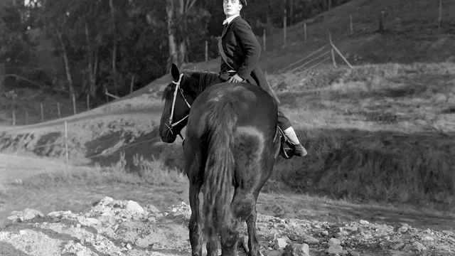 Photo 4 du film : La guigne de malec