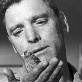 Photo du film : Le prisonnier d'alcatraz
