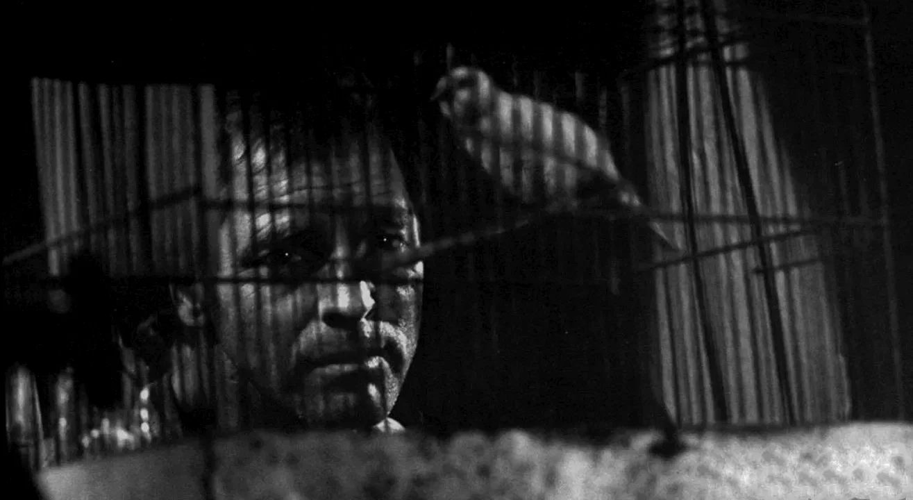 Photo 4 du film : Le prisonnier d'alcatraz