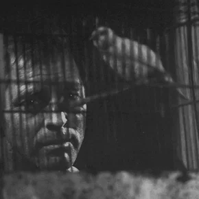 Photo du film : Le prisonnier d'alcatraz