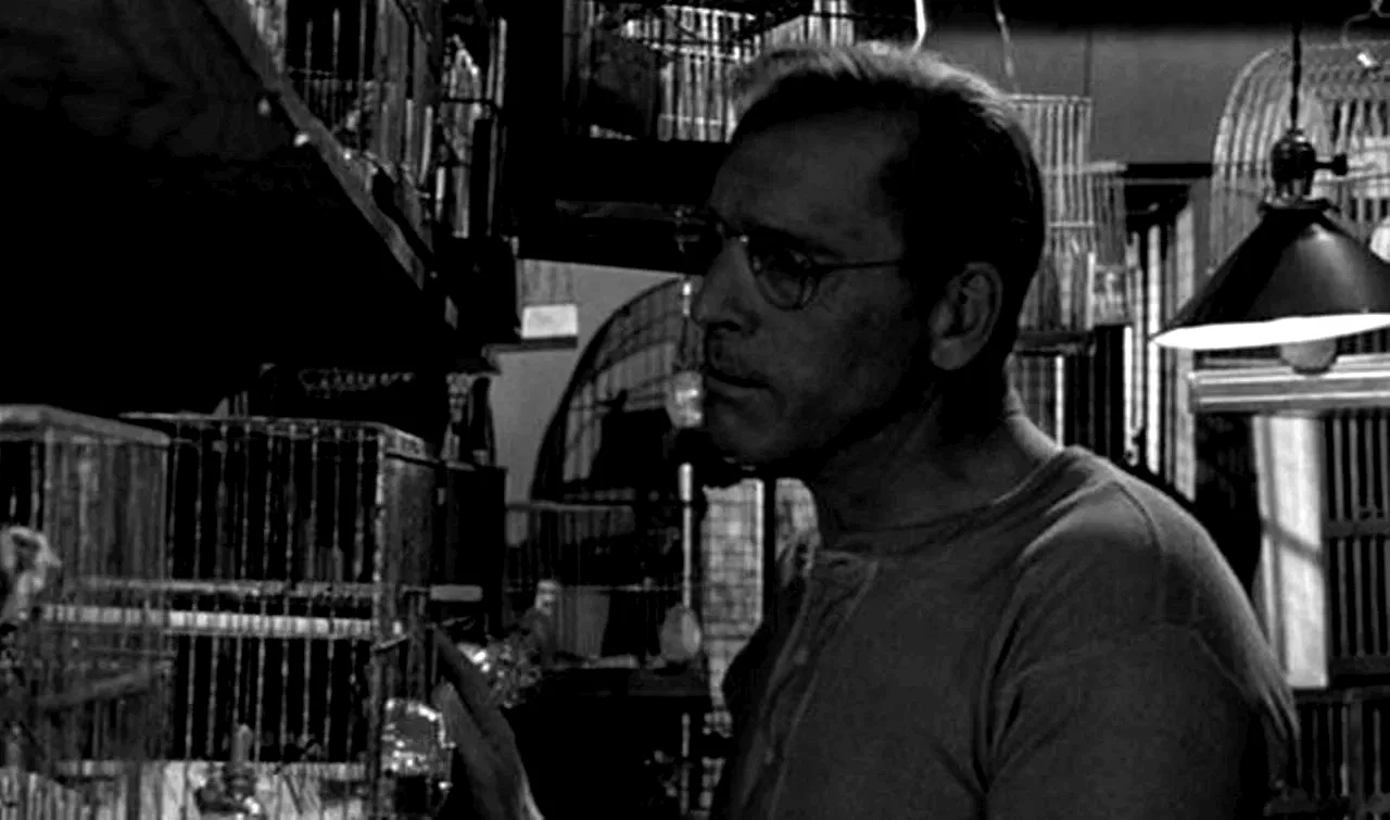 Photo 6 du film : Le prisonnier d'alcatraz