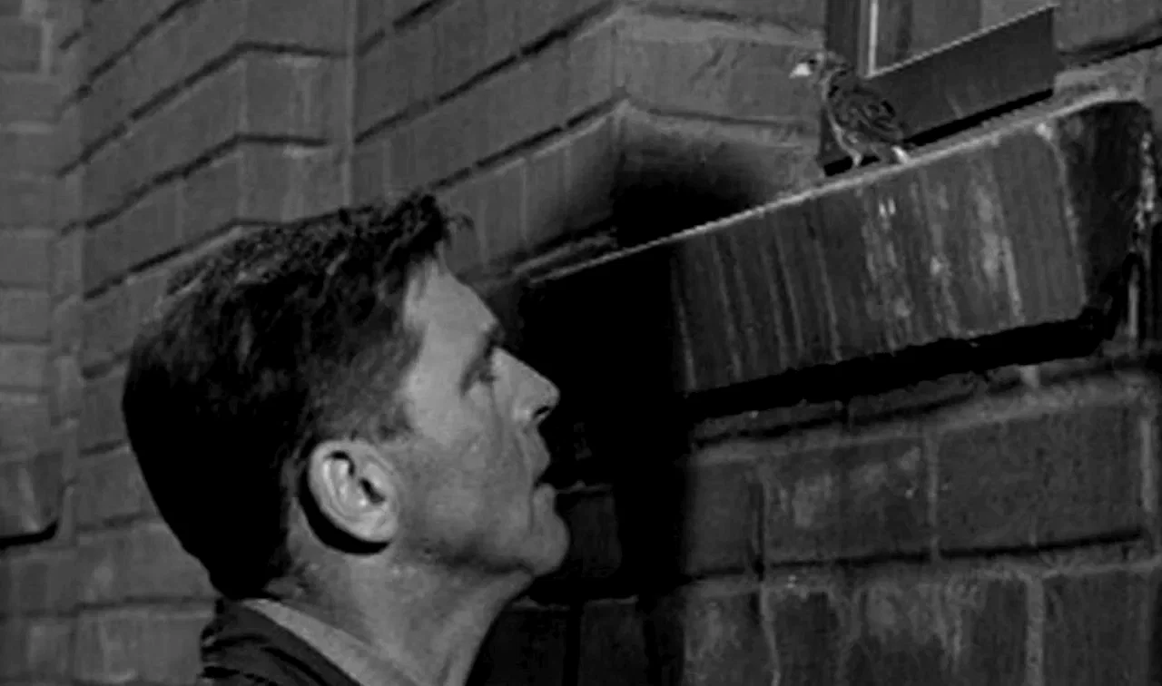 Photo 7 du film : Le prisonnier d'alcatraz