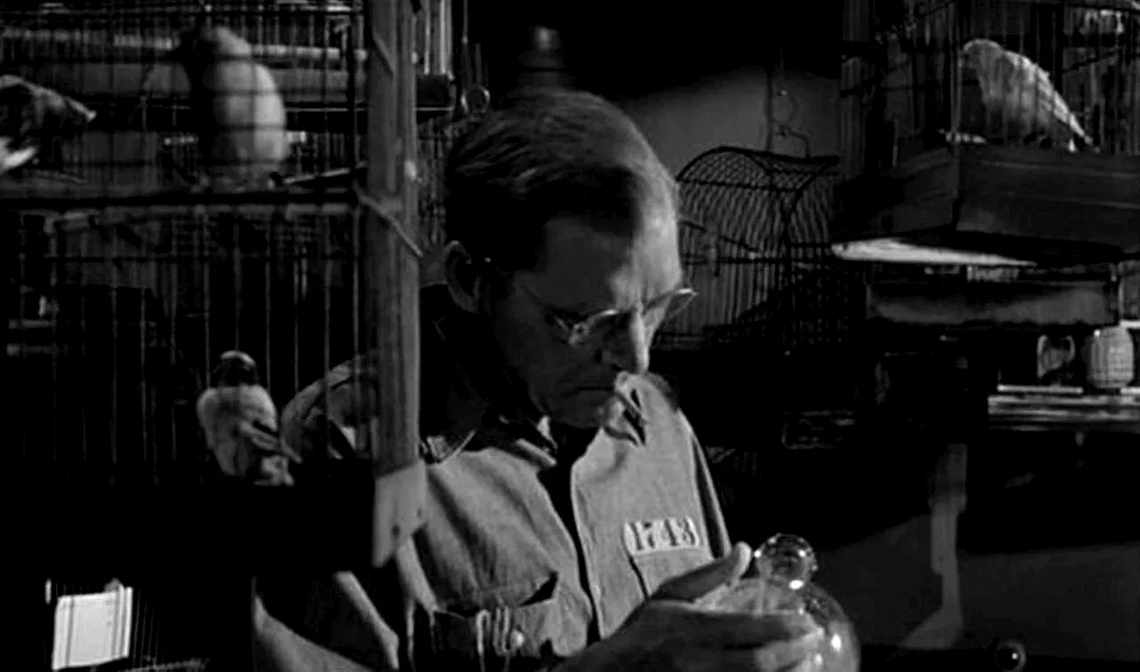 Photo 10 du film : Le prisonnier d'alcatraz